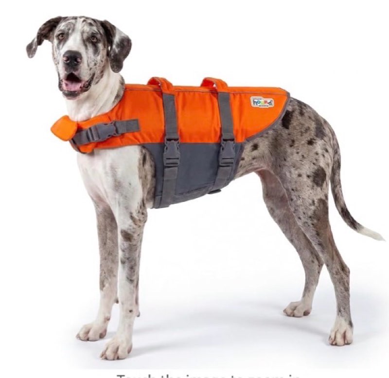outward hound granby splash orange dog life jacket, xl