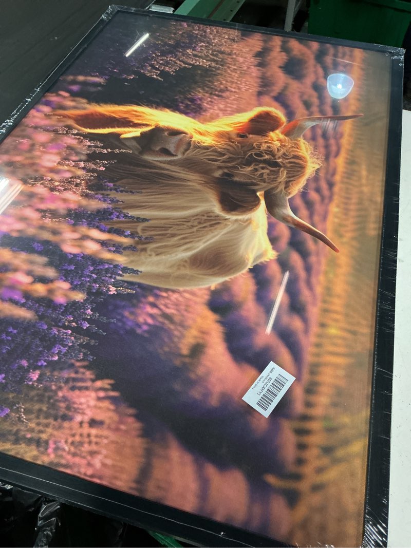 Condition photo showing New/Like New for large highland cow wall art farmhouse cow home sweet home pictures wall decor country cattle family canvas painting print home modern artwork framed for bathroom living room bedroom office 60x30 inch 60"l x 30"w home