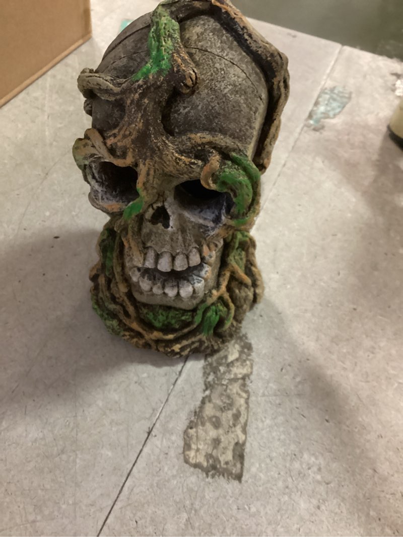 Condition photo showing Good Condition for GloFish Cycle Skull Aquarium Ornament
