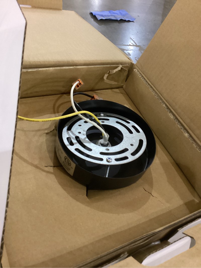 Condition photo showing As Is for Flushmount globe light