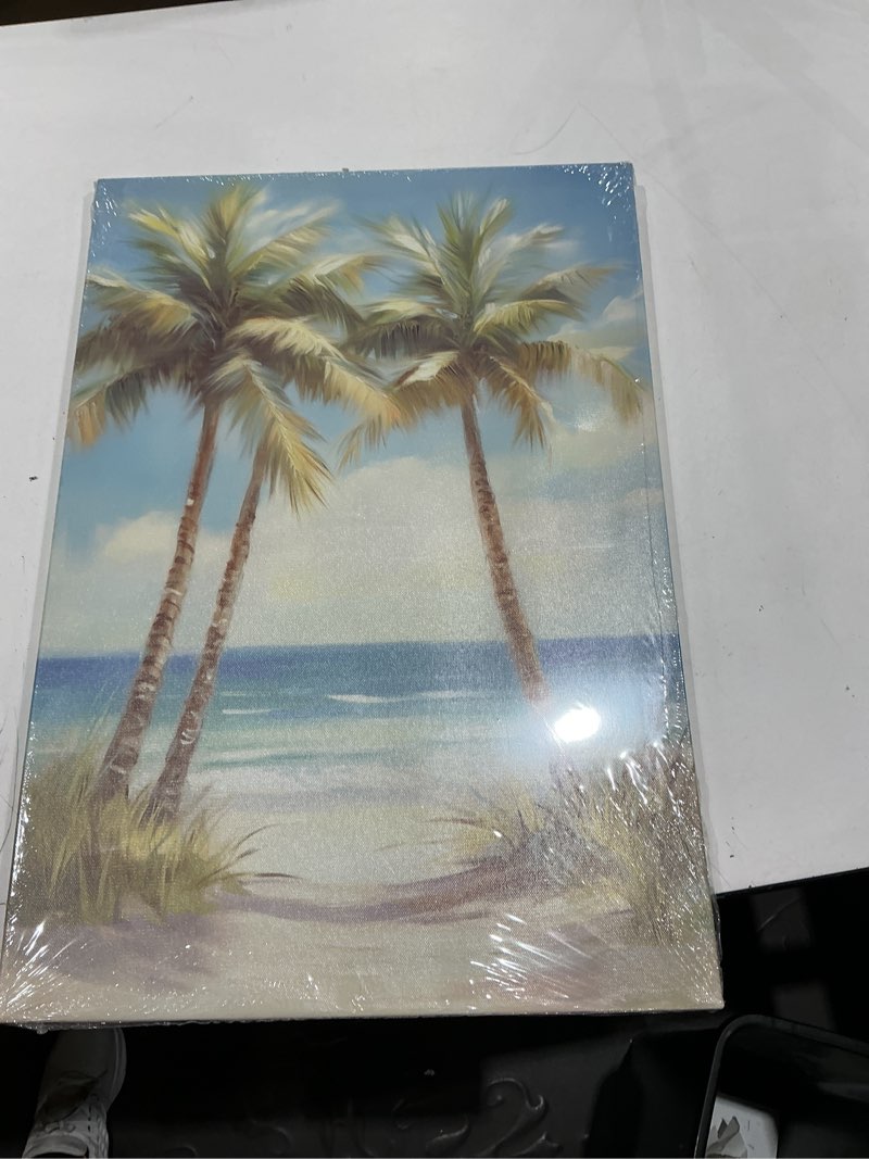 Condition photo showing Good Condition for tropical beach canvas wall art palm tree pictures wall decor ocean landscape painting prints for living room bedroom bathroom decor framed(tree-3,16l x 24w) tree-3 16l x 24w