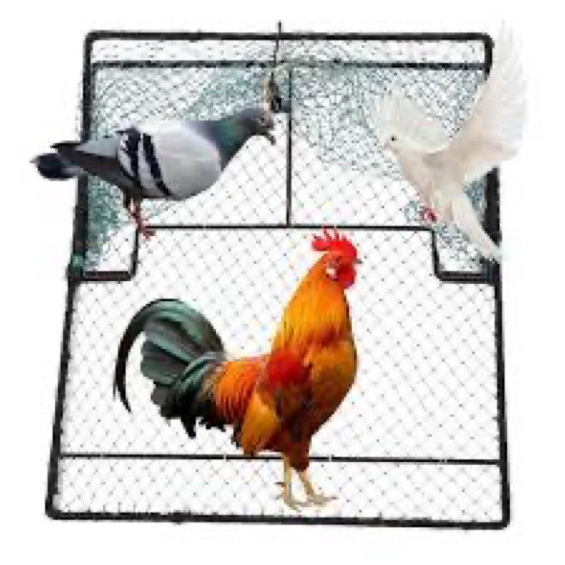 Humane Pigeon Trap,Bird Trap for Quail,Turkey,Net Traps (19.7x23.6 inch)