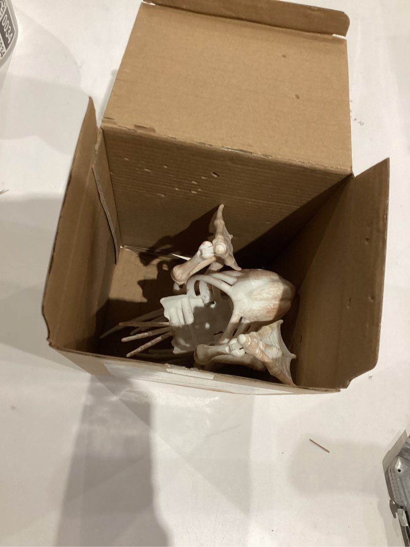 Condition photo showing As Is for JOYIN Duck Skeleton Halloween Decoration 6.89 Inch Animal Skeleton Plastic Bones with Movable Joints for Yard Garden Graveyard Haunted House Cemetery Outdoor Indoor Table Top Decorations