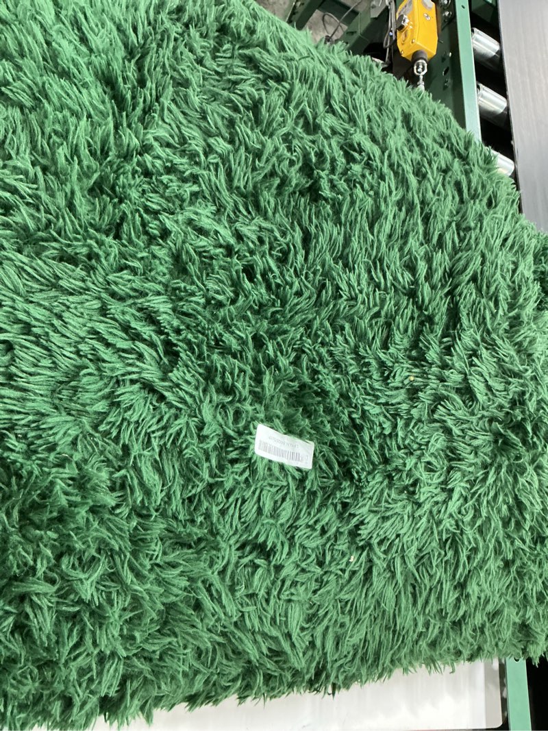 Condition photo showing As Is for amdrebio dark green area rugs for living room, 5x8, fluffy thick rug for bedroom, soft indoor furry rugs for kids room, teen, shag modern cool carpet for nursery playroom classroom, emerald green 5' x 8' (rectangular) dark green