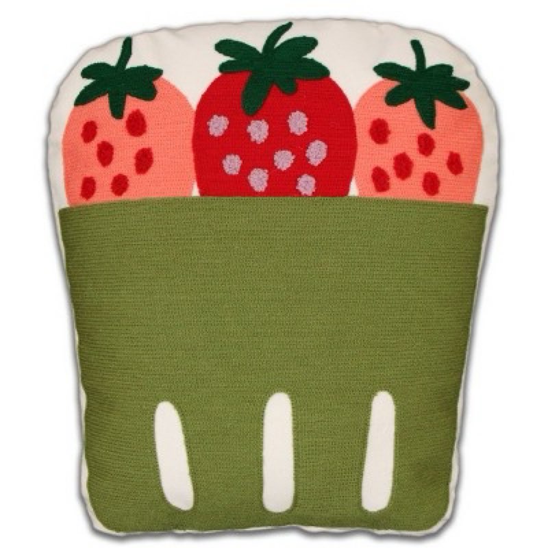 Berry Pillow - Bullseye’s Playground. (Case pack of 6-pillows) 