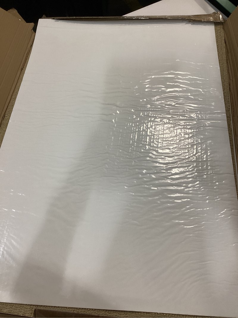 Condition photo showing As Is for Nuanchu Adhesive Mat Pad Include 1 Sticky Non Slip Base Pad 2 Tacky Dust Mats Construction of 30 Sheets (60 Sheets Total) for Clean Room Science Lab Matting Laboratory Hospital(White,24x36 Inches) 24x36 Inches White