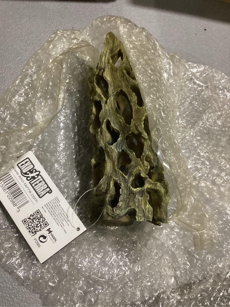 Condition photo showing New/Like New for Hagen Exo Terra Cholla Cactus Skeleton (Medium)
