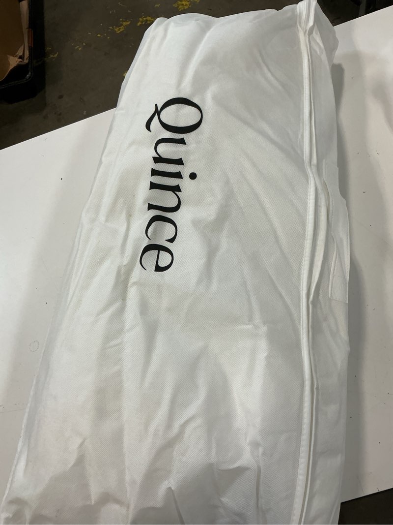 Condition photo showing Good Condition for luxe goose down pillow, king, medium/firm