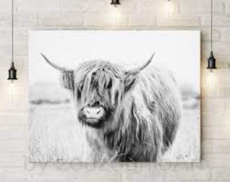 Ewozet Country Farmhouse Highland Cow Cattle Black And White in Watercolor Flower Wildflower Prints 