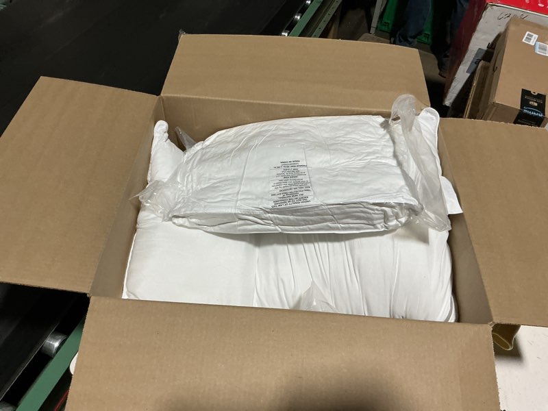 Condition photo showing Good Condition for snug&cozy grey goose feather down pillow for sleeping(2 pack)- standard/queen size(20in×28in), goose feather&down filling, 100% down proof, machine wash, white