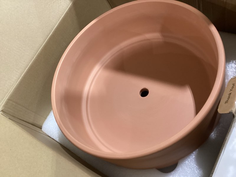 Condition photo showing As Is for d'vine dev terracotta shallow planter pot with saucer, 10 in, 40-y-b-0 | wide bowl design, unglazed terracotta, porous & breathable, minimalist style, ideal for succulent arrangements 10 inch