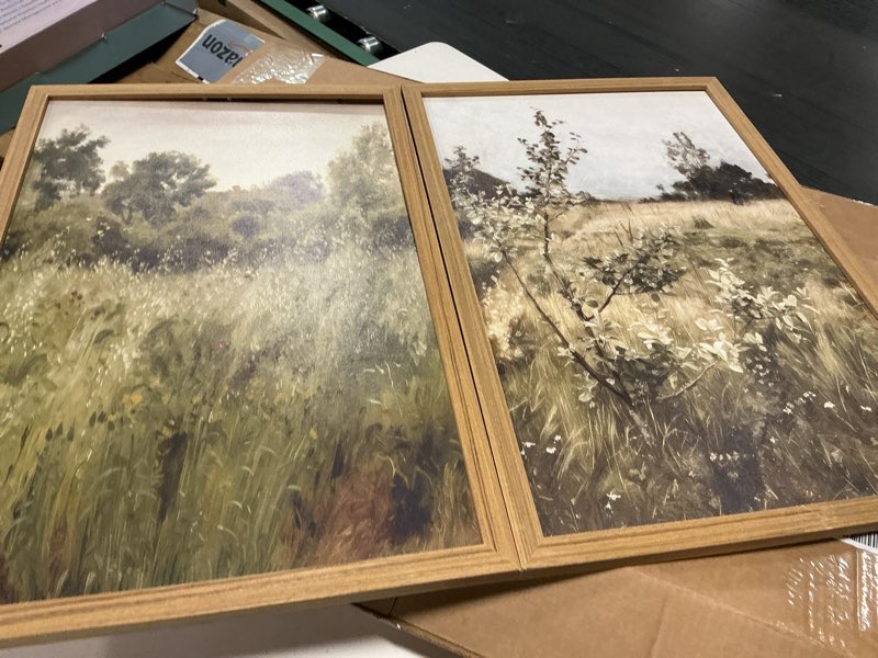 Condition photo showing Good Condition for vintage landscape wall art set of 2, green natural wilderness farmhouse canvas wall decor paintings, retro country wildflower oil pictures posters prints for living room bedroom 12x16 inch wood framed green landscape framed 16l" x 12w"