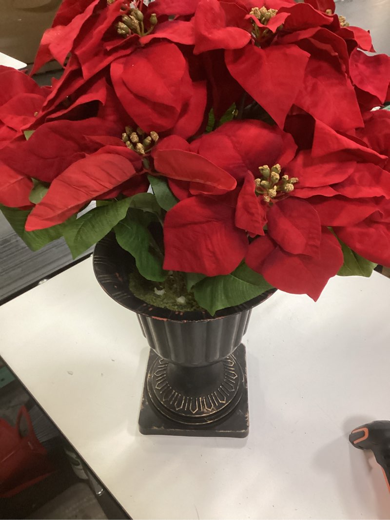 Condition photo showing As Is for Ashland 24" Premium Poinsettia Floral Arrangement