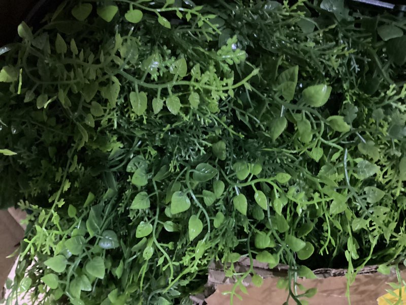 Condition photo showing Good Condition for grooy 60"x120"(50 sqft) artificial hedge grass wall roll panels, green wall panels, plant wall, greenery wall backdrop, uv protected privacy fence screen for outdoor indoor wedding décor mint 60''x120''