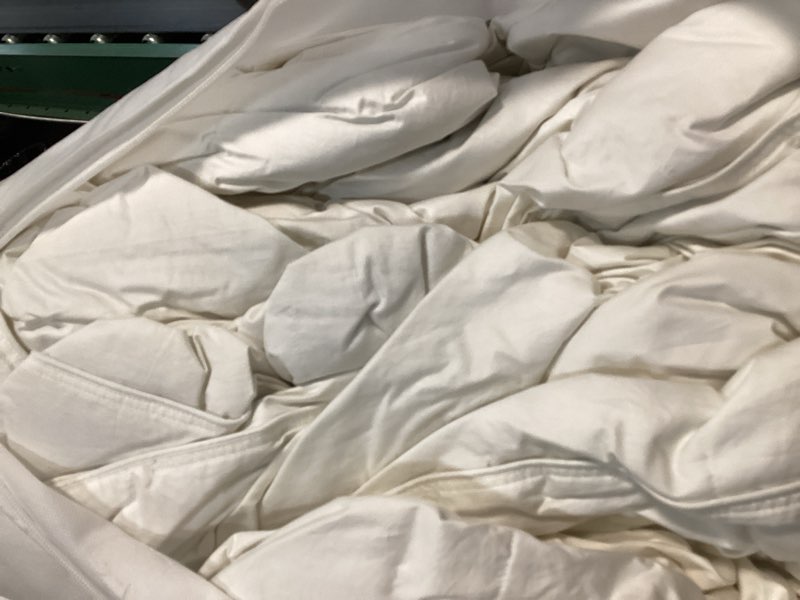 Condition photo showing As Is for all-season premium down comforter, king/cal king, down