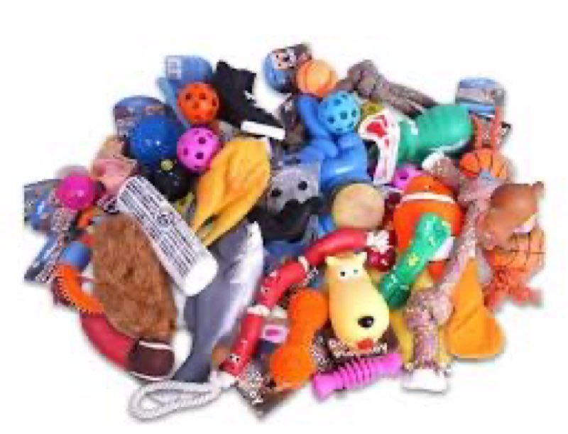 Assortment of small pet items,miscellaneous small,variety of items,multiple pieces,5 pieces total