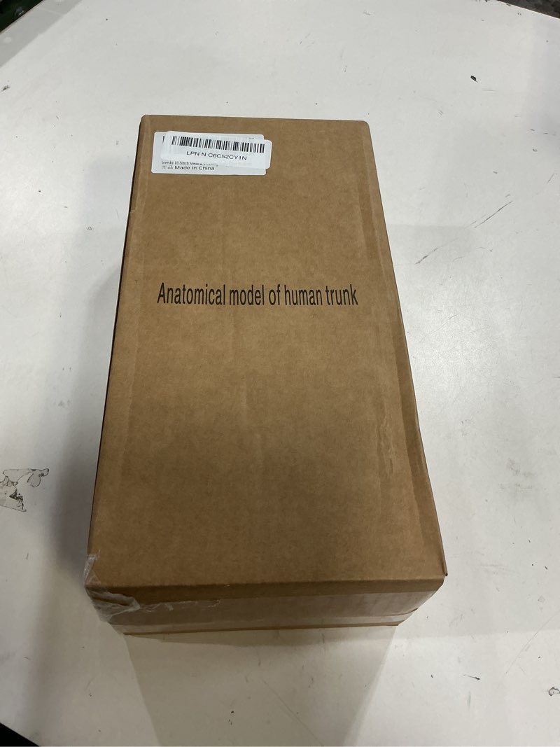 Condition photo showing New/Like New for breesky 10.5inch medical torso human body model anatomy doll 15 removable parts education organs model for teaching study class students 10.5 inch 15 part human torso model 10.5 inch 15 part human torso model