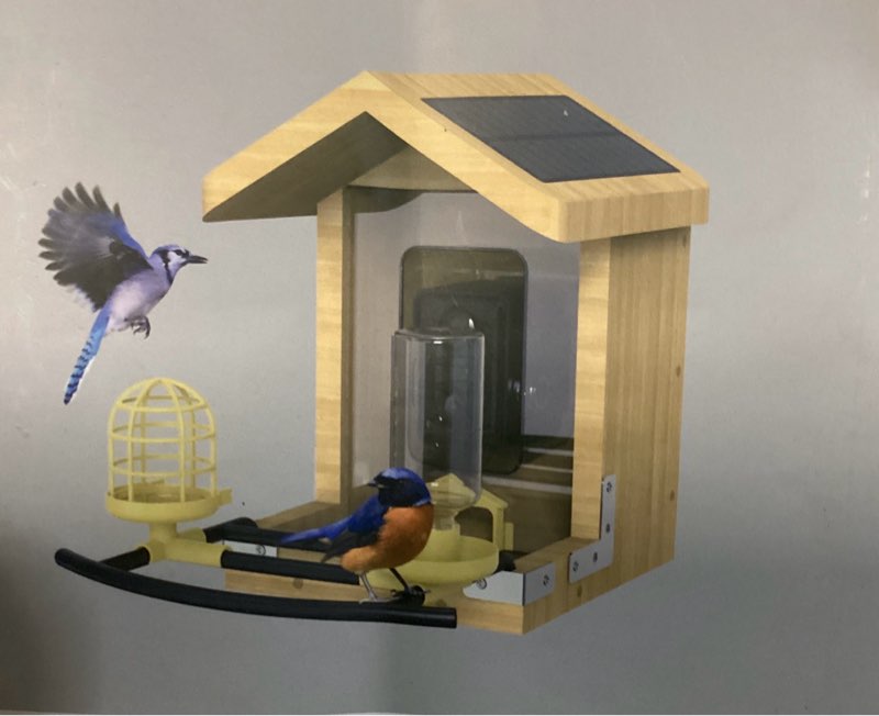 Smart AI Recognition Bird Feeder