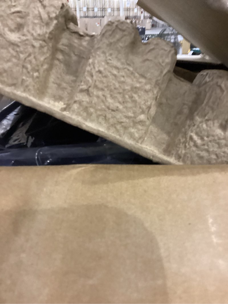 Motion sensor trash can 