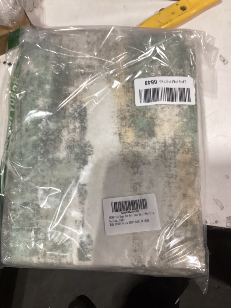 Condition photo showing Good Condition for 2x3 Rugs for Entryway Entrance Kitchen Bathroom, Machine Washable Modern Abstract Soft Area Rug, Low Pile Indoor Floor Carpet with Non Slip Backing, Light Green Light Green/Cream 2' x 3' (Rectangular)