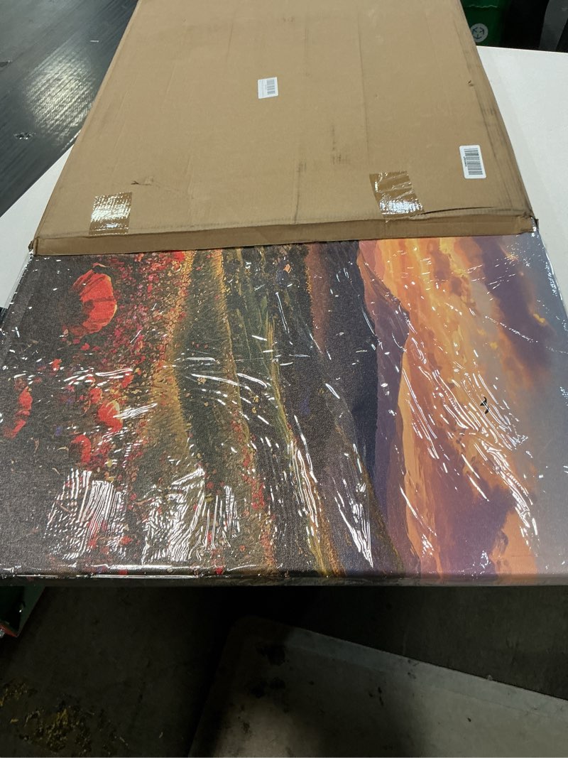 Condition photo showing Good Condition for JLXART Wall Art for Living Room Decor Mountain Sunset Landscape Canvas Wall Art with Red Poppies Prints Nature Scenery Artwork Framed Size 24 x 48 in Ready to Hang 48L" x 24W" Oranges and yellows