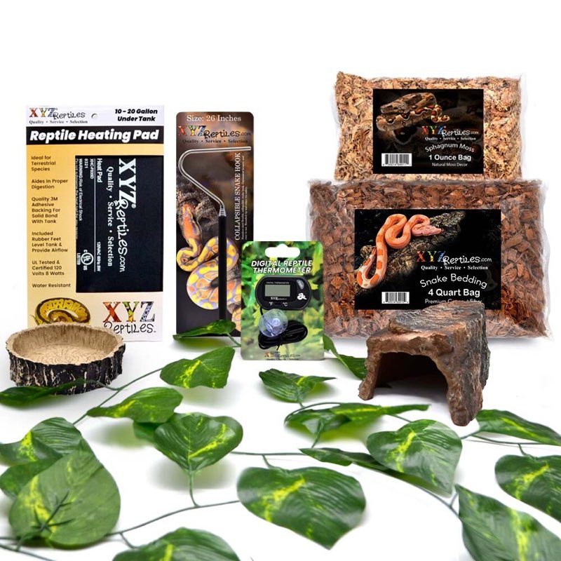 Boa Constrictor Snake Habitat 10 Gallon Terrarium Snake Starter Kit XYZReptiles