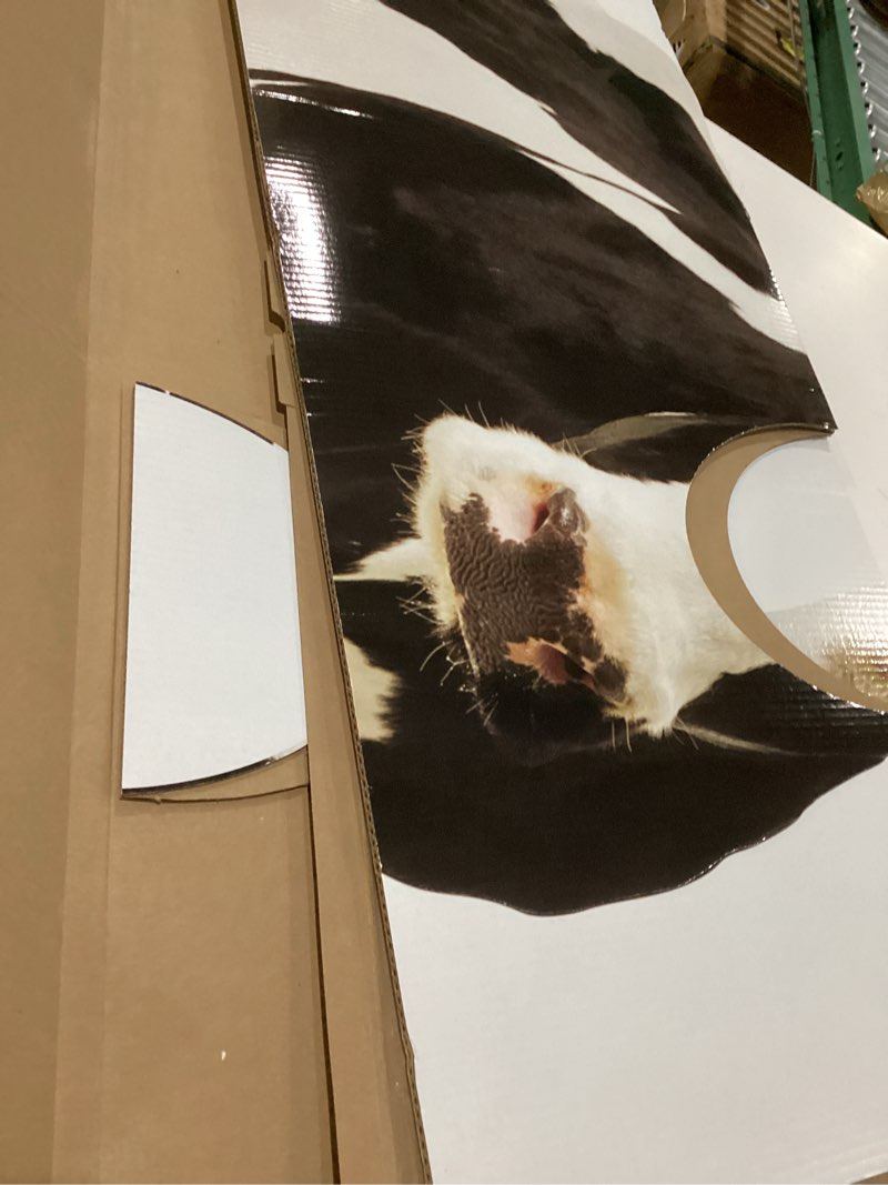 Condition photo showing New/Like New for Cardboard People Cow Stand-in Life Size Cardboard Cutout Standup