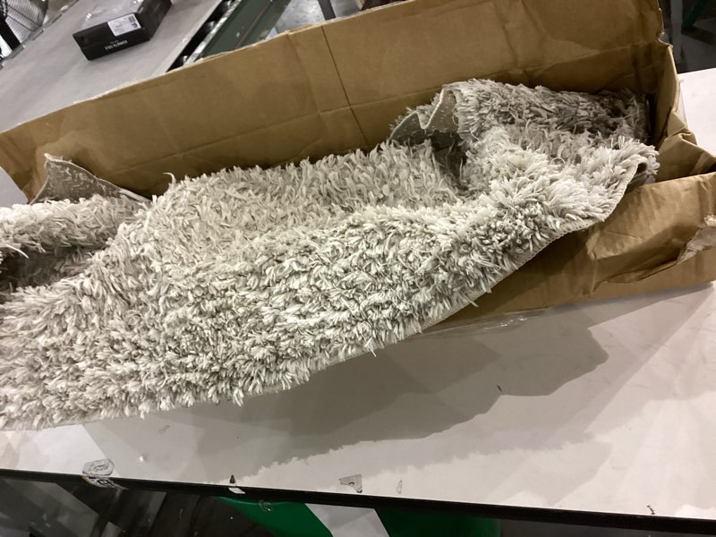 Condition photo showing As Is for Area rug