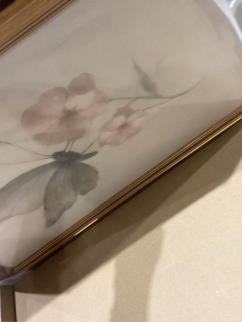 Condition photo showing Good Condition for Gold Framed Wall Art Vintage Butterfly Canvas Art Prints Floral Nursery Pictures Wall Decor Boho Painting Artwork for Living Room Bedroom Bathroom 16x24in Vintage Butterfly Framed 16x24in Gold Framed