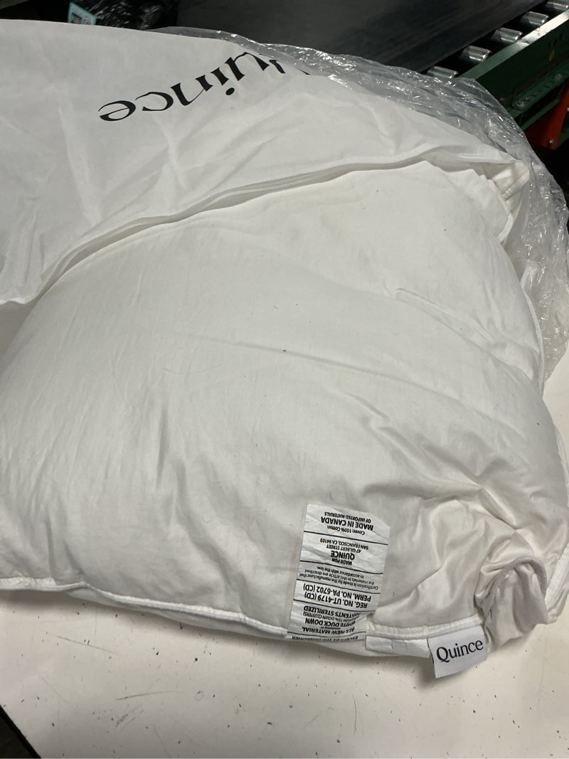 Condition photo showing As Is for premium down pillow, standard, firm