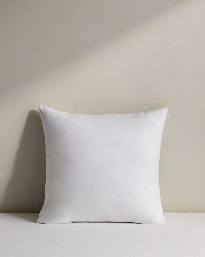 quince premium feather pillow insert 20”x20”