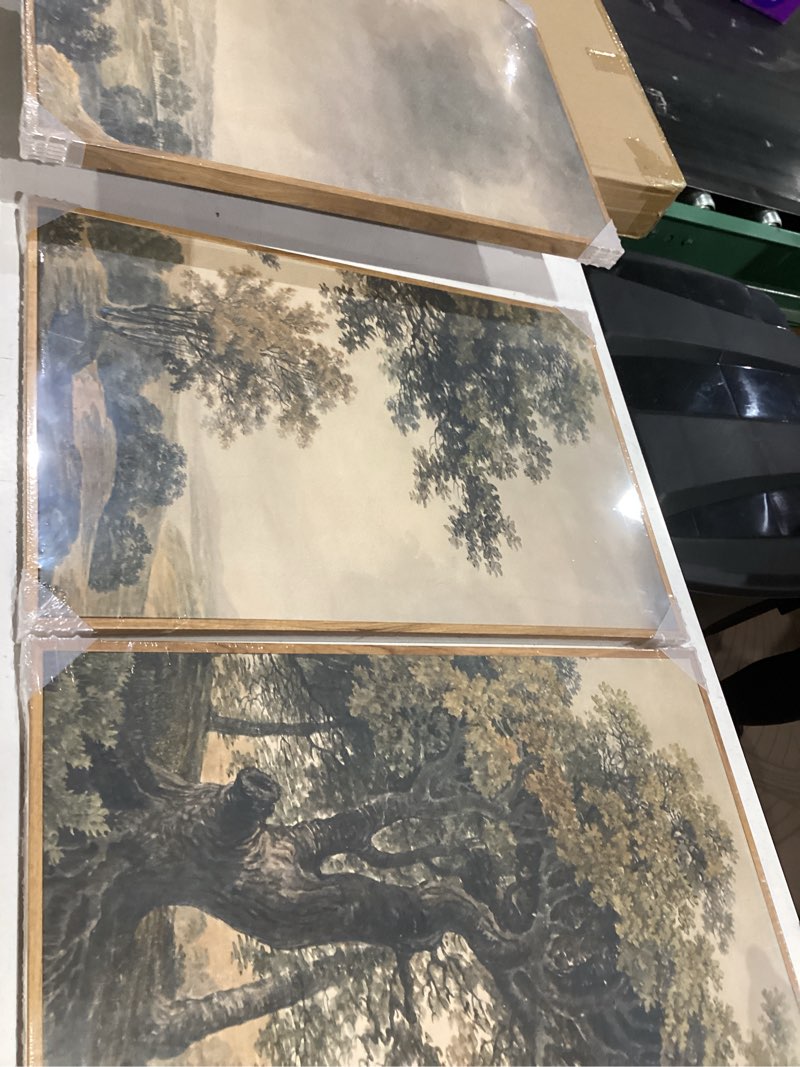 Condition photo showing New/Like New for mudecor framed wall art print set vintage landscape rustic tree and mountain view illustrations decorative colorful for living room, bedroom, office - 24"x36"x3 natural
