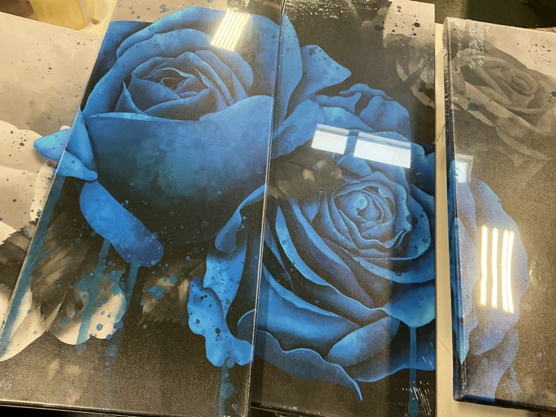 Condition photo showing Good Condition for LevvArts 4 Piece Flower Canvas Wall Art Blue Rose Floral Painting Decor for Home Bedroom Kitchen Black and White Royal Blue Flower Canvas Prints Gallery Wrap Ready to Hang