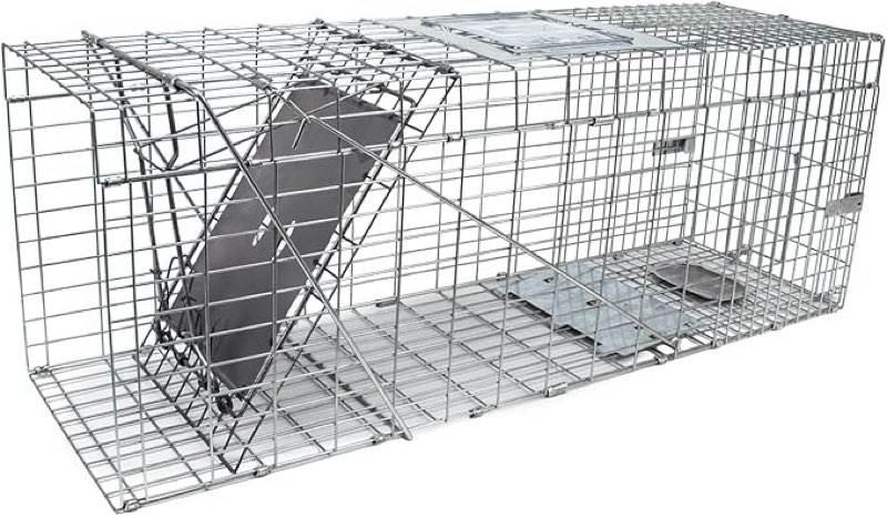 animal cage trap, heavy duty folding raccoon traps