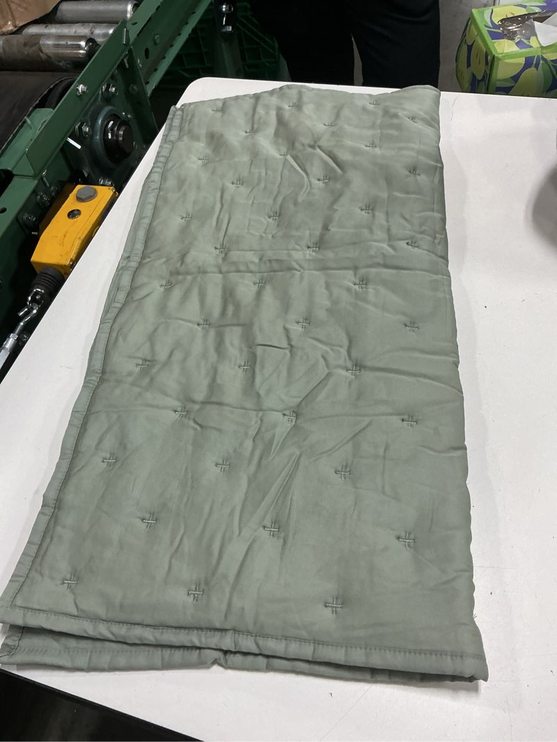Condition photo showing Good Condition for quince bamboo dream quilted euro sham eucalyptus 26*26