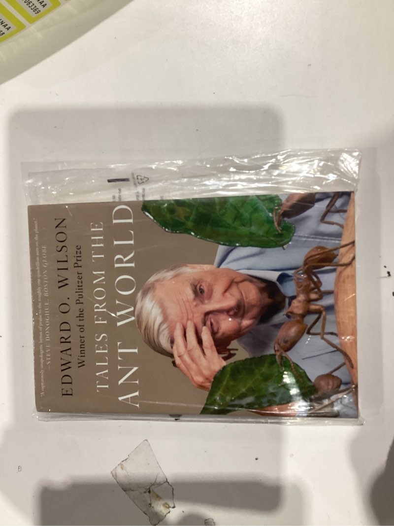 tales from the ant world