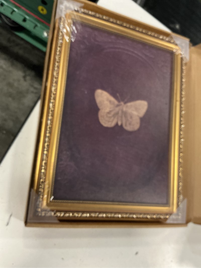 Condition photo showing New/Like New for zlpllha vintage gold framed wall art butterfly wall decor moody canvas art insect pictures victorian paintings burgundy artwork for bedroom living room