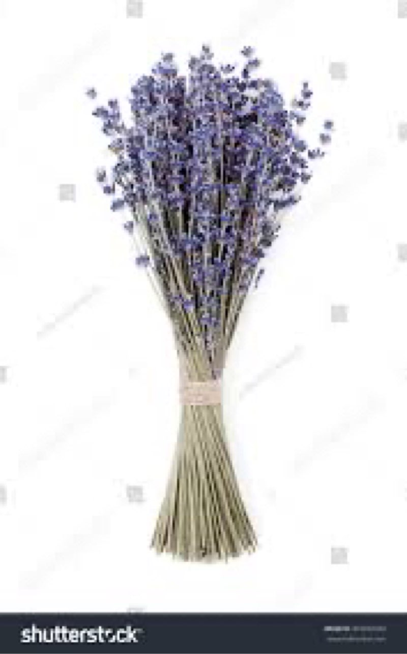 Dry lavender bunch “ by julia sudnitskaya