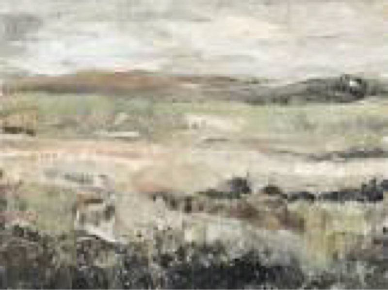 Grassland Showers II Wall Art Print 32” x 24”