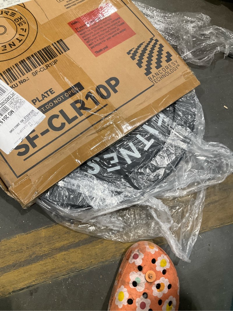 10lb barbell plate set