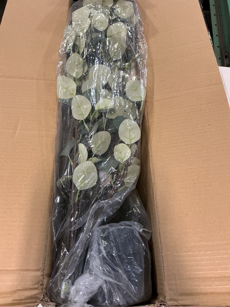 Condition photo showing Good Condition for Warmplants Artificial Eucalyptus Tree, 5ft Tall Fake Eucalyptus Plant with Woven Basket, 60'' Silk Leaves Faux Tree for Indoor Home Office Livingroom Garden Floor Décor Eucalyptus 5ft (similar product)