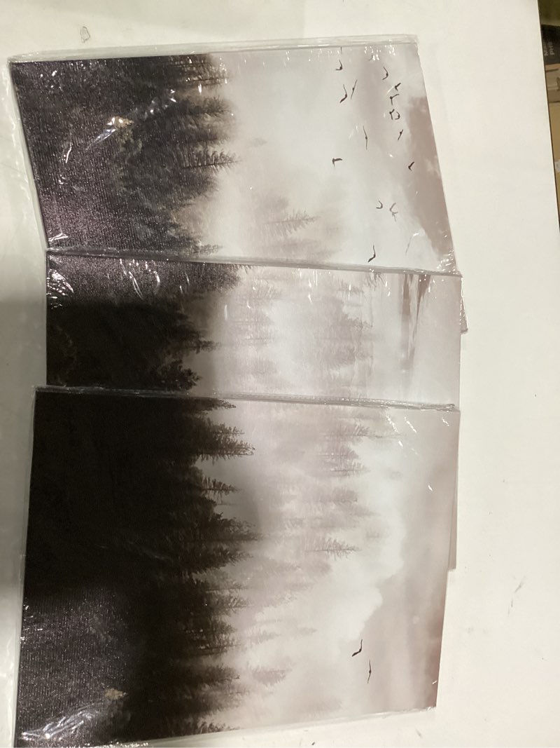 Condition photo showing New/Like New for Framed Canvas Art - Boho Wall Decor Set of 3: Foggy Forest Trees Scenery for Living Room, Bedroom, Office, Farmhouse, Home Decoration 12x16inches*3pcs Foggy Forest Trees Pictures