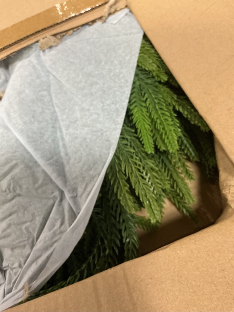 Condition photo showing New/Like New for 24inch Christmas Wreath 2 Pack, Norfolk Pine Wreath for Front Door, 24 Inch Xmas Village Wreath Holiday Decor Christmas Decorations for Home Wall Window Indoor Outdoor Outside Winter