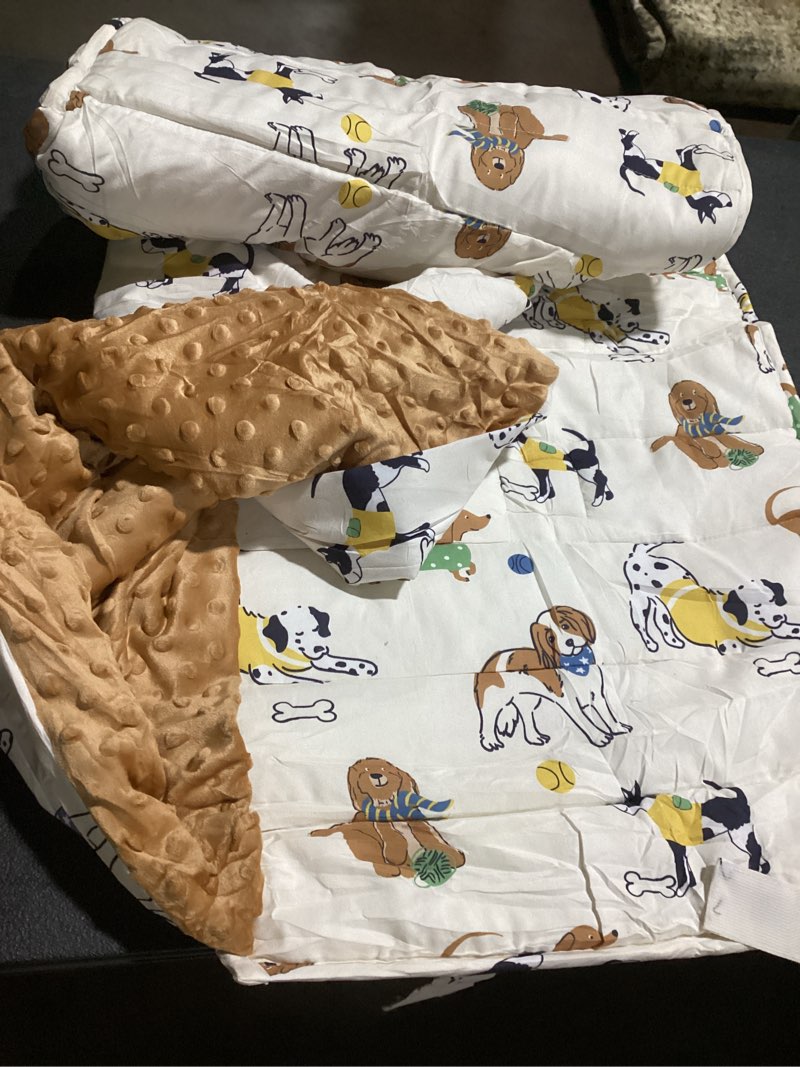 Condition photo showing Good Condition for david's kids minky dot nap mat