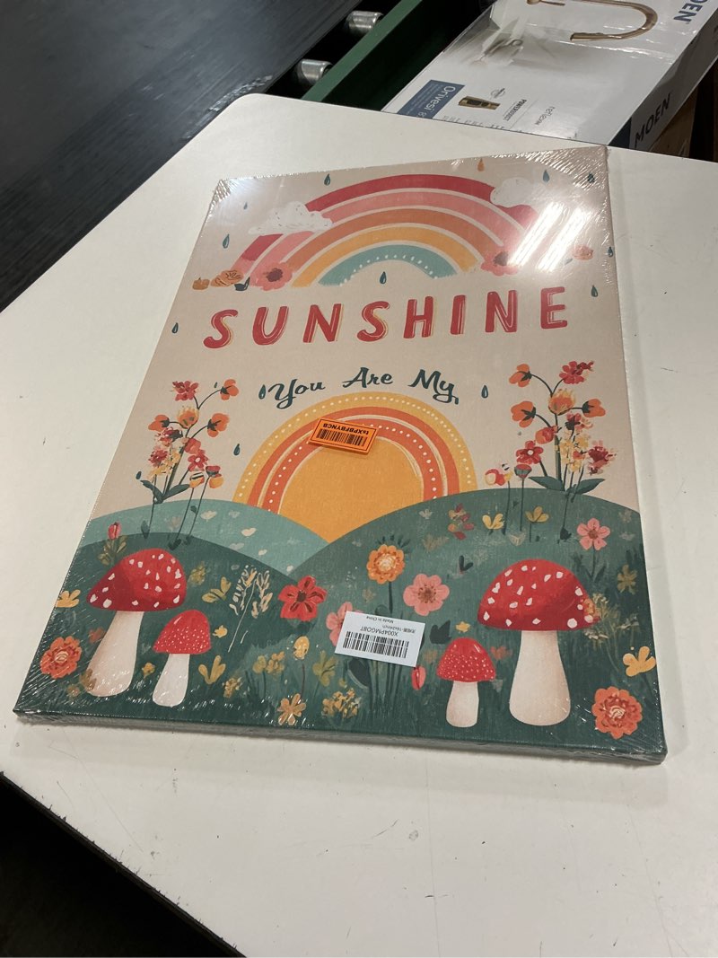 Condition photo showing New/Like New for you are my sunshine inspirational canvas wall art motivational encouragements wall decor first communion gifts for girls boys toddler teens pictures painting print artwork framed decorations nursery dorm bedroom 16"x24" sunshine 24"l x 16"w