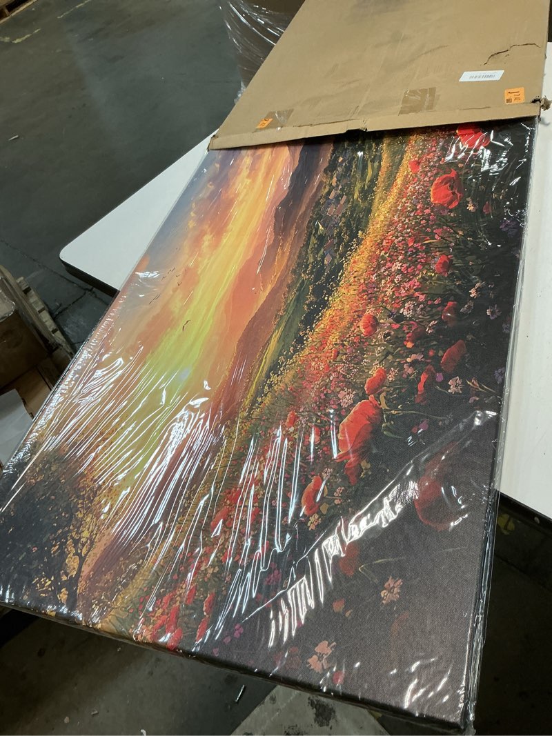 Condition photo showing Good Condition for JLXART Wall Art for Living Room Decor Mountain Sunset Landscape Canvas Wall Art with Red Poppies Prints Nature Scenery Artwork Framed Size 20 x 40 in Ready to Hang 40"L x 20"W Oranges and yellows