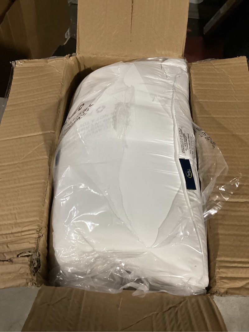 Brigitte Bailey Torie Dress Medium Pink