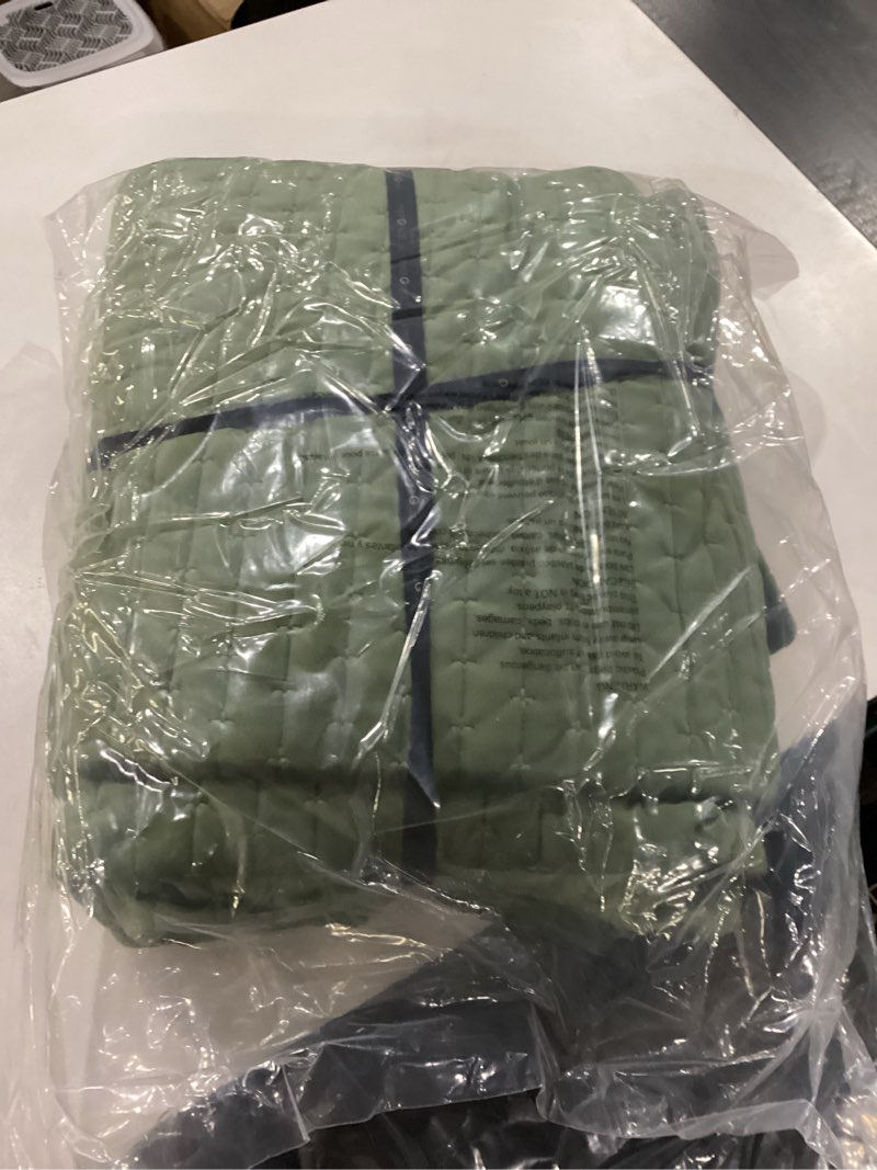 Condition photo showing New/Like New for EverGrace Luxury Velvet Quilt Set Queen Size 3 Piece, Soft Cross-Stitch Velvet Comforter Set with Pillow Shams, Lightweight Coverlet Bedspread Bedding Set for All Seasons, Loden Green Full/Queen (90" x 92") Loden Green