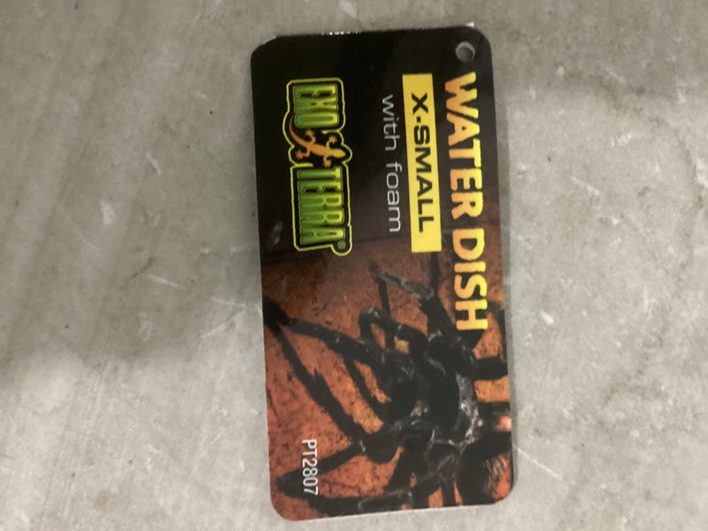 Condition photo showing New/Like New for (Bidding On 2 Bowls) Exo Terra Invertebrate Water Dish w/Foam