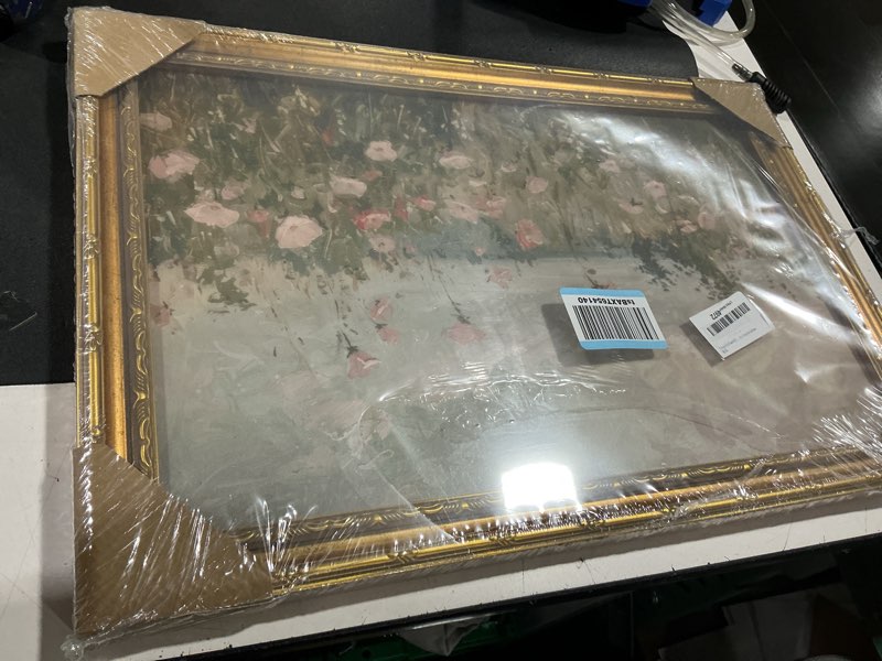 Condition photo showing Good Condition for vintage gold framed 3d texture wildflower canvas wall art pink wildflower landscape wall decor field of pink poppies painting country natural flowers poster print artwork for living bedroom home 3d wildflowers 24"l x 16"w